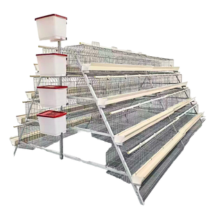Jaulas para Cría de Pollos, Avicultura Automática, Tipo A/H, 3/4, Gallinero, Caja para Aves de Corral, Gallinero Plegable, Jaula para Gallinas - Product Image 4