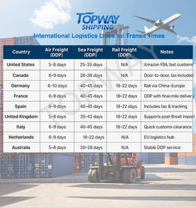 ตัวแทนขนส่งสินค้าไปยังสหรัฐอเมริกา บริการโลจิสติกส์ไร้กังวล ตัวแทนขนส่งสินค้าเซินเจิ้น รองรับการขนส่งสินค้าที่มีความสำคัญทางการค้า ทางทะเล ทางอากาศ บริการ DDP - Product Image 3