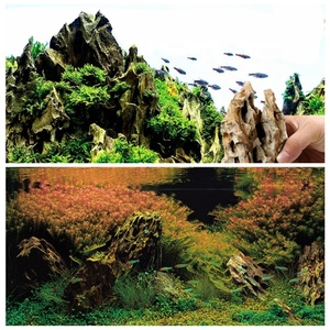 Pietra Decorativa per Acquascaping 10-50cm, Irregolare Marrone, Disponibile, Sostenibile, <span class=keywords><strong>Roccia</strong></span> Dragon Stone per Acquario - Product Image 3