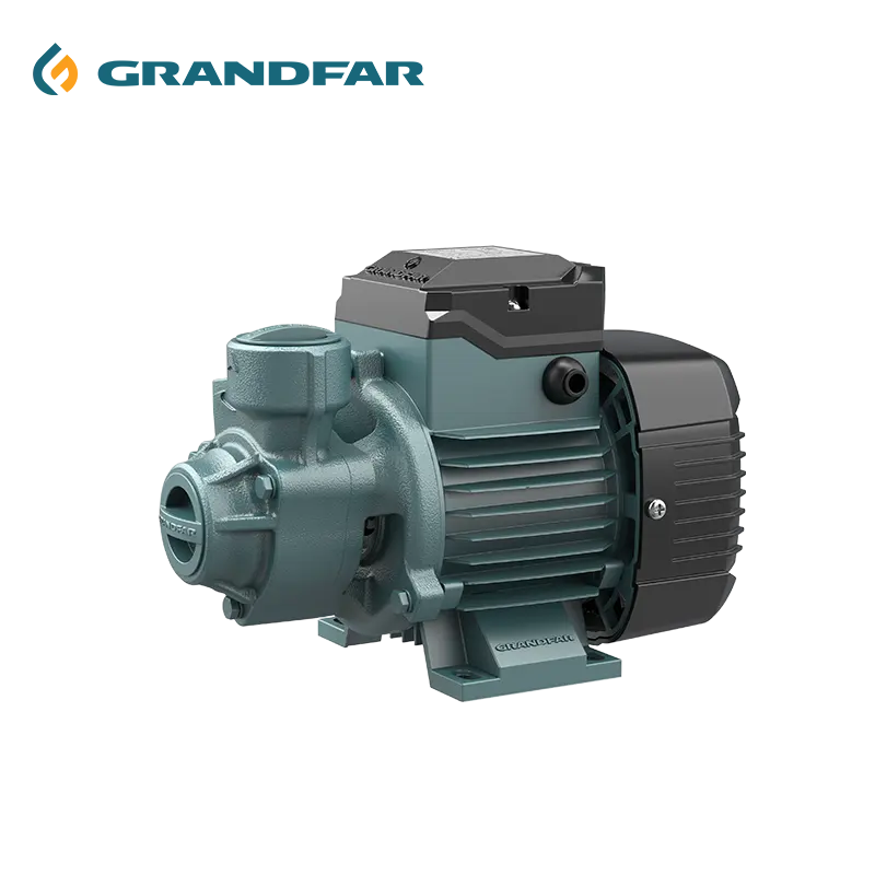 농업을 위한 GRANDFAR QB 시리즈 핫 세일 무쇠 몸 와동 터빈 펌프 주변 펌프 지상 수도 펌프