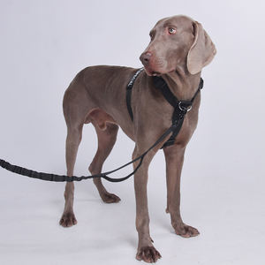 New H Typ Luxus personal isierte Haustier Weste Brust geschirr Hund Geh geschirr Explosions geschützte verstellbare atmungsaktive Legierung Geschirr - Product Image 2