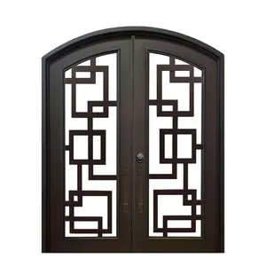 強化ガラス正面玄関ダラスのユニークなパターン錬鉄製ドアを使用