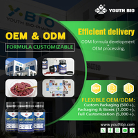 Tabletas de Melatonina de 10 mg Estándar de Exportación, Twilight Balance, Apoyo para la Integridad Sistemática en Adultos Conscientes de la Salud, OEM ODM