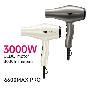 <span class=keywords><strong>Sèche</strong></span>-<span class=keywords><strong>cheveux</strong></span> professionnel sans balais FirePhoenix 6600 MAX <span class=keywords><strong>PRO</strong></span> Private Label 3000W 23000RPM, couleur personnalisée, pour salon - Product Image 1