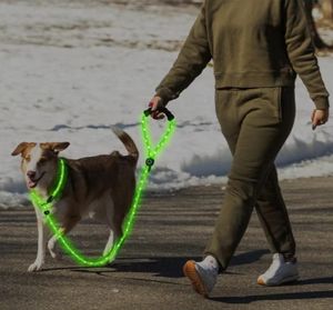 2025 Set kerah & timbal anjing LED mode mewah desain baru tali bulat fitur dapat disesuaikan untuk anjing kucing bahan poliester padat - Product Image 3