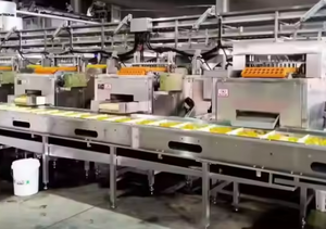 Mận rỗ Máy mận rỗ Máy mơ rỗ máy - Product Image 3