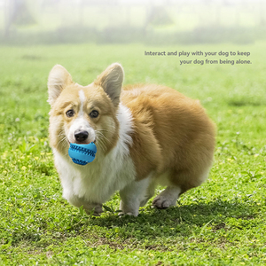 Custom Eco-Friendly Rubber Interactive Slow Feeder Puzzle <b>Ball</b> <b>Dog</b> Chew Toy Squeaky Teething Non-Toxic Teeth Cleaning - Product Image 5