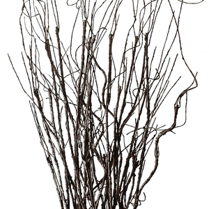 Ramoscelli artificiali secchi, bastoncini pieghevoli viti/steli Vintage piante verdi fai da te vasi artigianali giardino di casa Hotel arredamento fattoria - Product Image 1