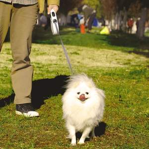 Correa para perro retráctil con cinta de nailon fuerte de 16 pies - Product Image 6