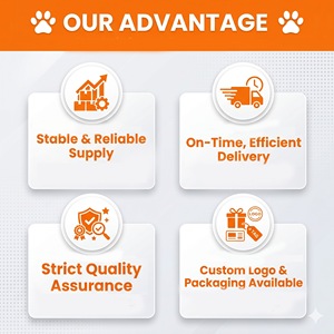 Collar <span class=keywords><strong>Elisa</strong></span> de Poliéster Suave con Diseño Floral para Perros y Gatos, Collar Impermeable para Mascotas con Funda de Esterilización - Product Image 6