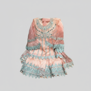 Robe fantaisie readymade pour enfants (filles) de haute qualité Robe en organza readymade de qualité d'exportation Robe pakistanaise respirante pour enfants - Product Image 1