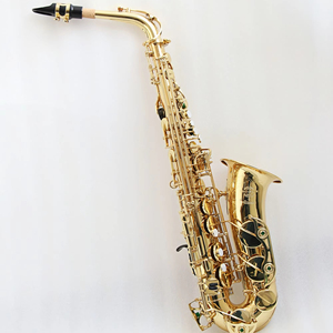 <span class=keywords><strong>Saxophone</strong></span> alto professionnel de haute qualité Repose-pouce <span class=keywords><strong>droit</strong></span> réglable <span class=keywords><strong>Saxophone</strong></span> alto - Product Image 1