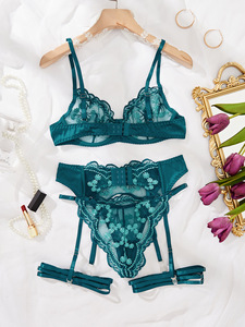 Borduurwerk Sexy Dames Kant Transparant Dames Mesh Lingerie Set - Product Image 3