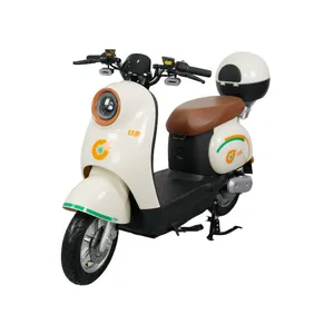 Sepeda kargo elektrik 60v, sepeda kargo elektrik untuk perjalanan dan bekerja dengan pembawa belakang dan baterai e-bike 1000w 48v untuk skuter listrik Kota