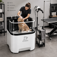 Baignoire SPA pour animaux de compagnie en acrylique avec contrôle intelligent de la température, homologuée CE, avec fenêtre en verre, bassin de toilettage pour chiens pour animalerie