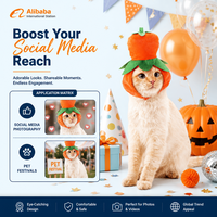 En gros, Accessoires de festival pour animaux de compagnie : Chapeau de chat d'Halloween fantaisie en tissu d'hiver, motif citrouille, pour chaton mignon