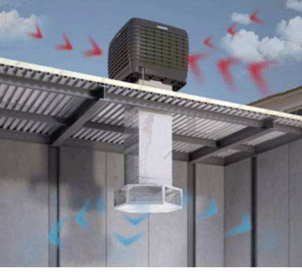 Hawai Fan Heavy Duty 20000CMH Wall-Mounted Industrial Water Evaporative Air Cooler Energy Saving Motor for Office Roof