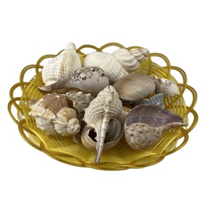 Cesto Ecologico di Conchiglie per Decorazioni Artigianali e Regali - Product Image 1