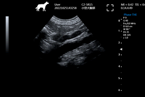 Système d'échographie Doppler couleur pour diagnostic vétérinaire, <span class=keywords><strong>vente</strong></span> directe d'usine EUR VET - Product Image 3