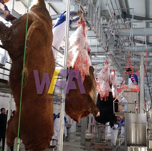 Equipo de Matadero Personalizado para 100 Ganado Diario, Equipo de Procesamiento de Carne, Riel Transportador para Sacrificio de Vacas - Product Image 2
