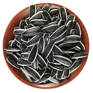 Quality Sunflower Seed Supplier Fresh Sunflower Seeds 363 Sunflower Seeds