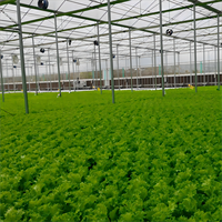 Kit de serre en verre agricole moderne avec système hydroponique système de refroidissement système d'irrigation pour légumes fruits fleurs