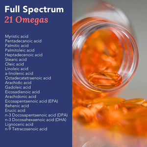 Groothandel Zalmolie <span class=keywords><strong>Capsules</strong></span> Gewrichtenondersteuning en Bot Supplementen Omega3 Visolie Softgel <span class=keywords><strong>Capsules</strong></span> - Product Image 4
