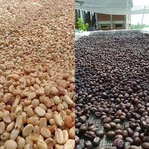 เครื่องปอกเปลือกเมล็ดกาแฟเขียวเชิงพาณิชย์กำลังการผลิตสูงสำหรับการแปรรูปกาแฟและอุปกรณ์เสริมเพิ่มเติม - Product Image 5