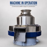 Machine à granulés de biomasse, moulin à granulés de sciure de bois, équipement de fabrication de granulés de combustible industriel pour la production en usine