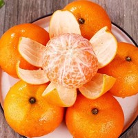 Exportateurs de fruits, fournisseurs de mandarines Wogan fraîches, achat de mandarines Orah biologiques à prix de gros