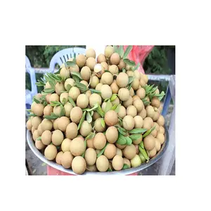Producto de temporada popular, fruta de VIETNAM, LONGAN fresca y seca a precio competitivo