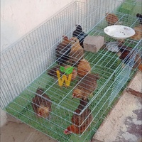 Cage à lapins en métal pour usage agricole, en fil de fer galvanisé, pour l'élevage de lapins, poules pondeuses et canards, pour la cour