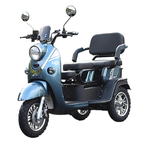 รถสามล้อไฟฟ้าสำหรับผู้สูงอายุแบบสองที่นั่งขายส่ง - Product Image 1