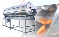 Industriële machine voor de verwerking van babywortelen, inclusief wassen, schillen, snijden en productielijn voor het wassen van wortelen.