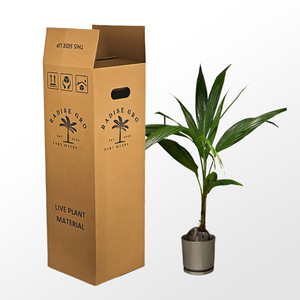 Custom E-commerce Plants Shipping <strong>Box</strong> Corrugated Mailer <strong>Box</strong> Supplier Durable <strong>Flower</strong> Cardboard Packaging Boxes for Bouquets - Product Image 1