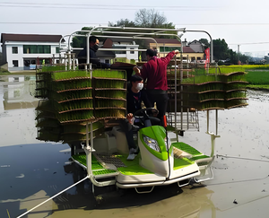 Машина для посадки риса с автоматическим управлением 2ZPY-13D сельскохозяйственные ряды для пересадки риса опционально - Product Image 6