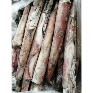 Замороженные кальмары Loligo вкусные кальмары по конкурентоспособной цене