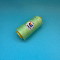 Benang Bordir Poliester 100% Elastis Tinggi 40/2 yang Dapat Disesuaikan, Tahan Lama, Bermotif Celup, untuk Mesin Bordir