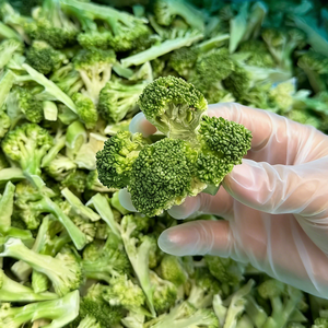 Croustilles de brocoli lyophilisées, snacks prêts à consommer, aliments nutritifs et sains, légumes lyophilisés à consommation directe - Product Image 2