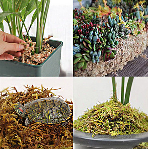 Sphagnum rêu tùy chỉnh nén gạch khô sphagnum than bùn rêu cho bò sát Chất nền thực vật - Product Image 5