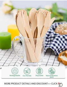 Biodegradable Disposable Eco Friendly Bamboo Cutlery Set Bamboo Spoon Fork