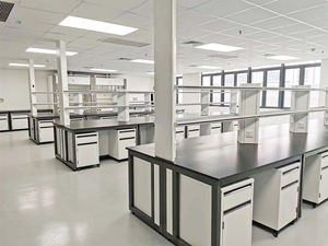 Nouveau poste de travail de laboratoire sur mesure avec étagère de banc de laboratoire et hotte de fumée utilisé pour les laboratoires de test de <span class=keywords><strong>chimie</strong></span> - Product Image 3