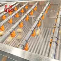 Ligne de production de nettoyage et de transformation du manioc, pommes de terre, carottes, radis et patates douces, laveuse, machine à laver