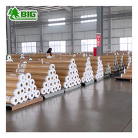 Rollo de Película Protectora de PVC Transparente de Alta Resistencia Boligao, Lámina de Plástico Transparente para Cubrir Superficies, Pisos y Muebles