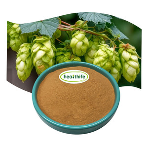 Extrait de houblon pur de qualité alimentaire Healthife, en gros, Humulus <span class=keywords><strong>Lupulus</strong></span>, 20% Xanthohumol en poudre - Product Image 1