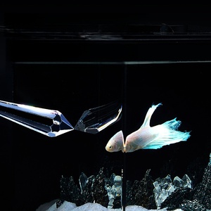 حوض أسماك صغير من الأكريليك سهل التنظيف للغرف والمطابخ، 220 فولت، مناسب لأسماك البيتا والسمك الذهبي، متوفر بالجملة من المصنع - Product Image 4