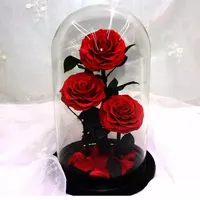 Rose Roses UO Handmade Preserved Real Rose In Glass Dome Beauty The Beast Rose Flowers 3 PCS Long Lasting Roses Never Withered Gifts