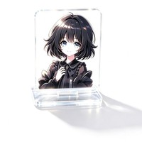 Cadre photo en acrylique DIY en forme humaine, thème anime, pièce décorative de célébrité, support de cartes à impression instantanée, personnalisable