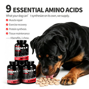 Comprimés de renforcement musculaire pour chiens avec un fort teneur en protéines, soutien à la récupération, friandises à mâcher pour chiens de type <span class=keywords><strong>Bully</strong></span> <span class=keywords><strong>Pitbull</strong></span> et chiens de travail - Product Image 2