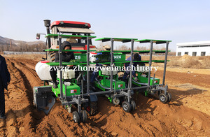 Lớn Thuốc Lá Cây Giống Cấy Thuốc Lá Cây Giống Cấy Bán Hàng - Product Image 5